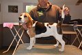 Afb_20171112_hazel (5)